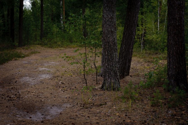 untitled-36.jpg