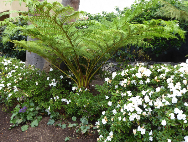 P1000500.jpg