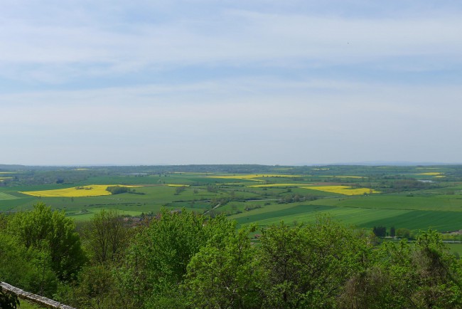 P1260425.JPG