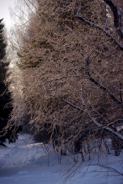 IMGP9751.JPG
