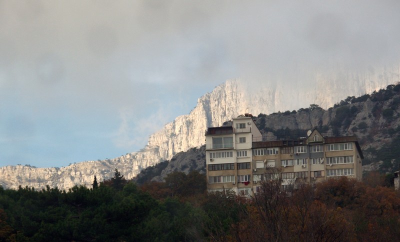IMGP9020.jpg