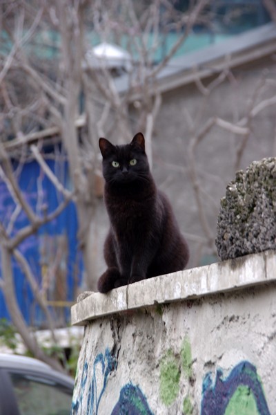 IMGP9301.jpg