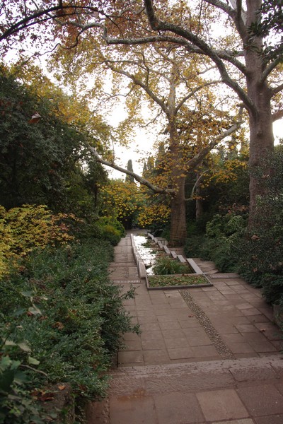 IMGP8981.jpg