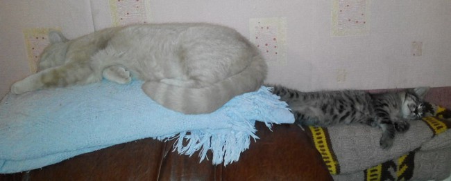 20161215185445-1.jpg
