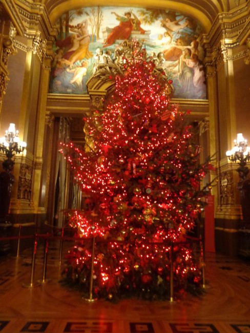 DSC05831 (Copy).jpg