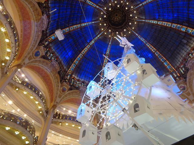 DSC05822 (Copy).jpg