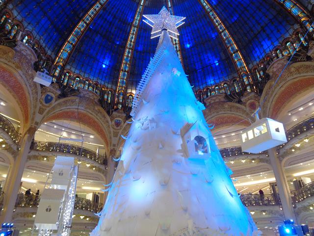 DSC05825 (Copy).jpg