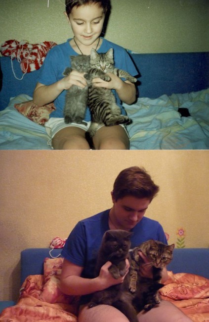 2006-2016 гг