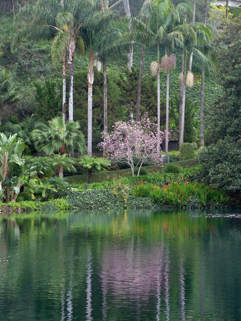 P1010285.jpg