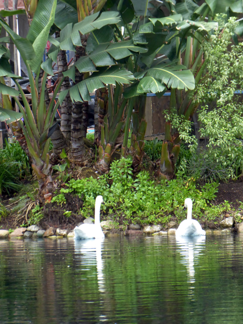 P1010347.jpg