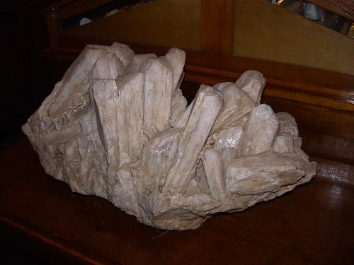 IMGA1645.JPG