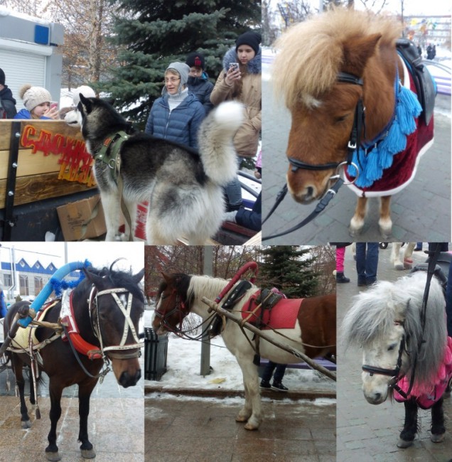 зверушки.jpg