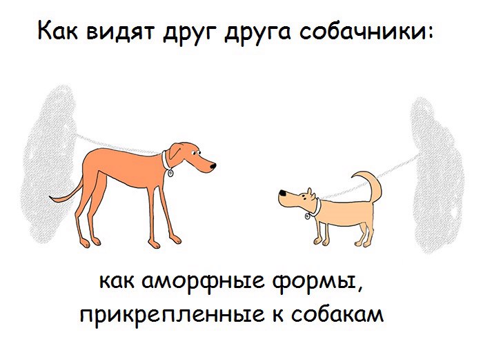 WX_vqOalfoI.jpg