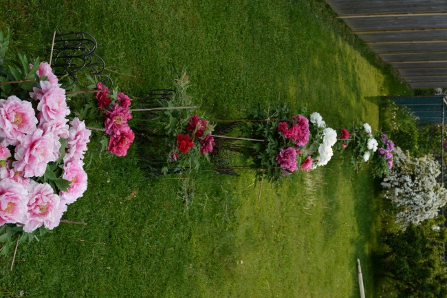DSC_8852.JPG
