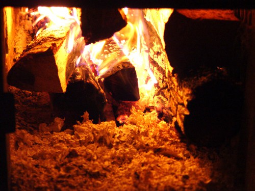 DSC01465_1.jpg