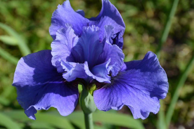 DSC_9168.JPG