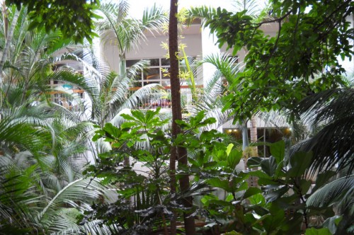 Tenerife 065.JPG