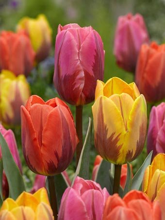 фото из инета