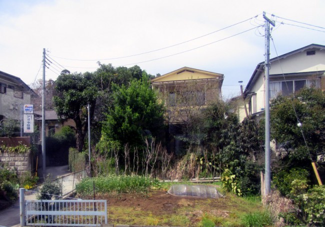 японский огородик 1