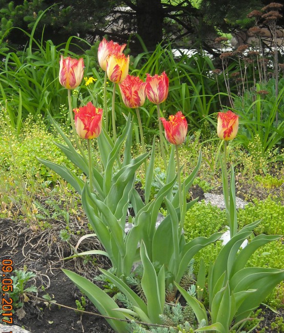 DSCN0775.JPG