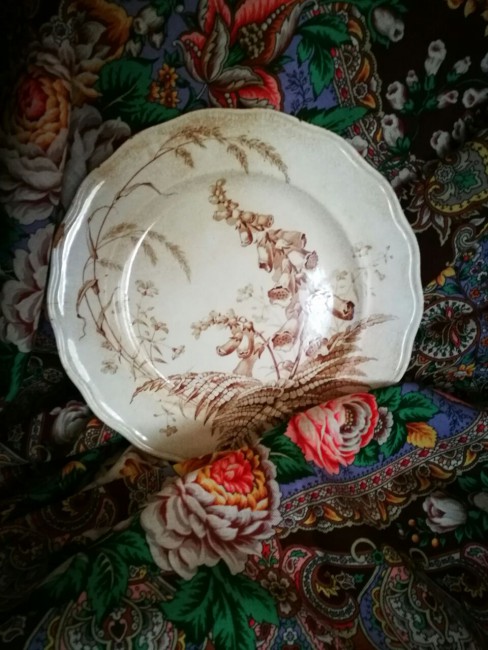 IMG-20170521-WA0020.jpg