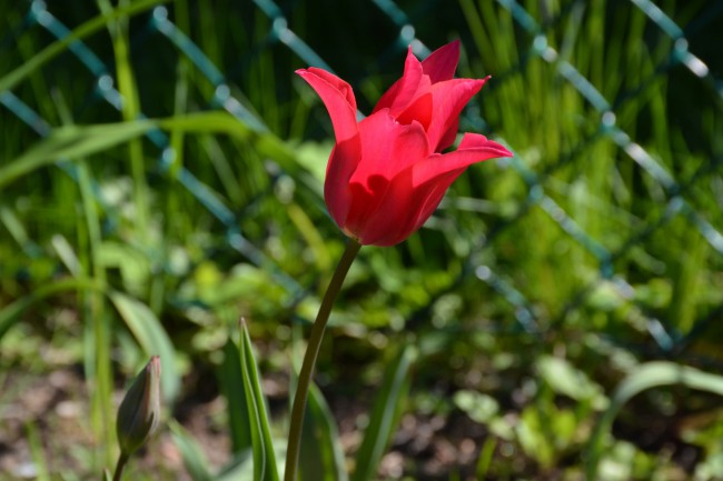 DSC_5443.JPG
