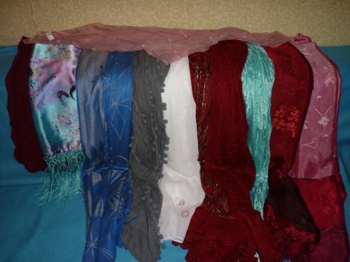 P1010259(1).JPG