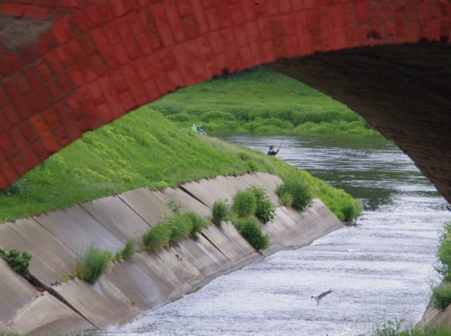IMGP2199к.jpg