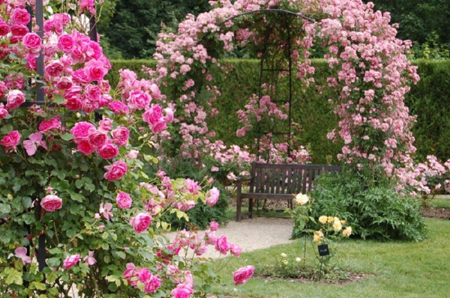 Jardin-de-Chaalis-6.jpg