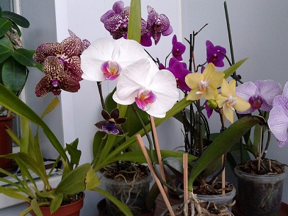 2014-04-30 19.43.27.jpg