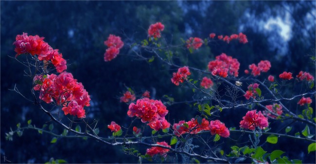 a9eab5573c5d70fb54b9ff60fa3e790d.jpeg