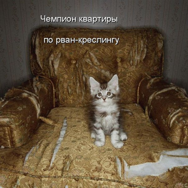 Ч.jpg
