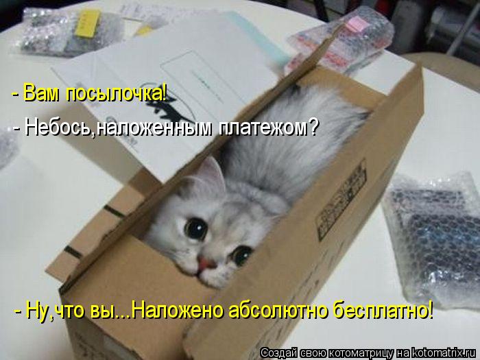 Моя посылка с шалью.jpg