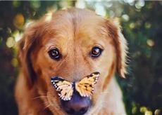 ^3229E26F37E25EE333C71BFA70E84283FD60C3B9E5C708AB3C^pimgpsh_thumbnail_win_distr.jpg