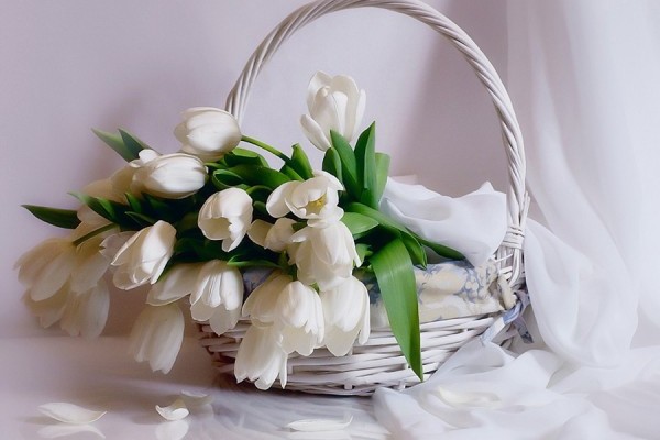 0_76546_f4140d38_XXL.jpg