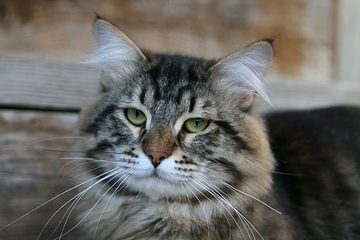 ум IMG_9069.jpg