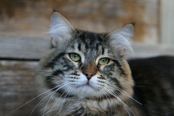 ум IMG_9070.jpg