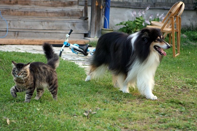 ум IMG_8980.jpg