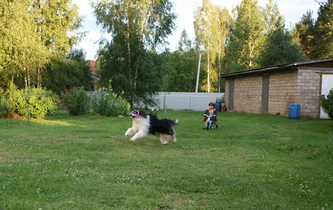 ум 2 IMG_9045.jpg