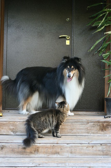 ум IMG_9051.jpg
