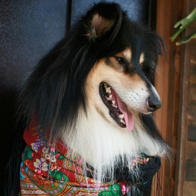 авка  IMG_9158.jpg