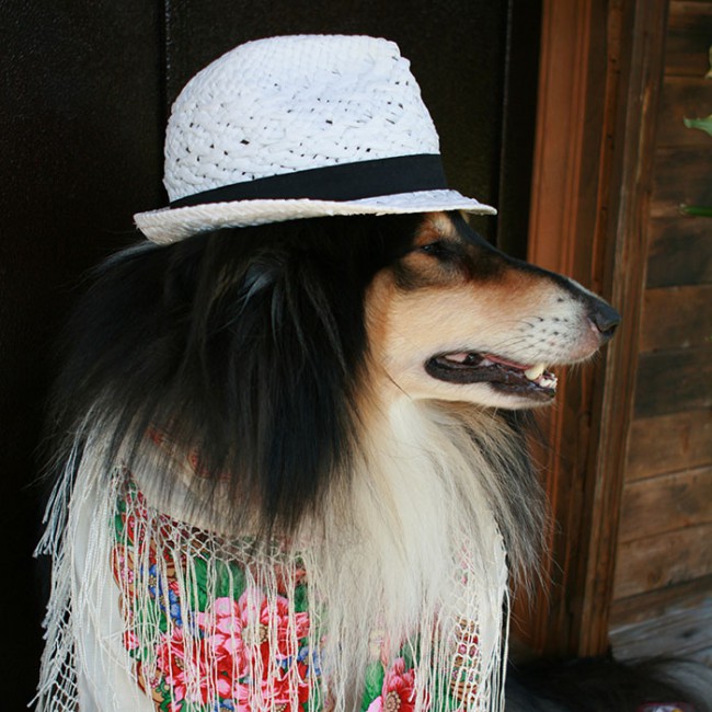 МАТВЕЙ АВКА IMG_9105.jpg