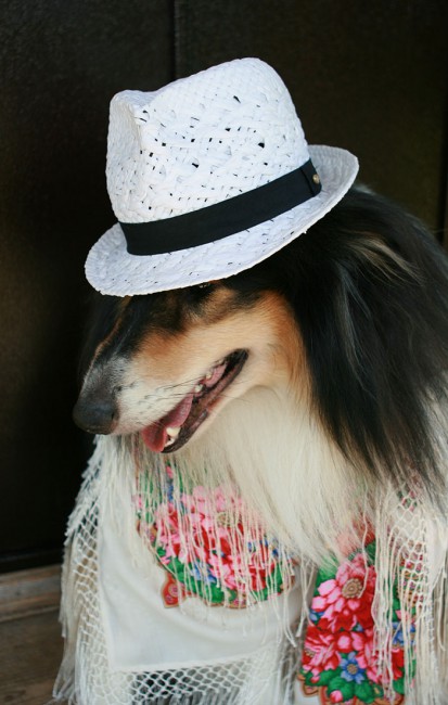 МАТВЕЙ IMG_9111.jpg