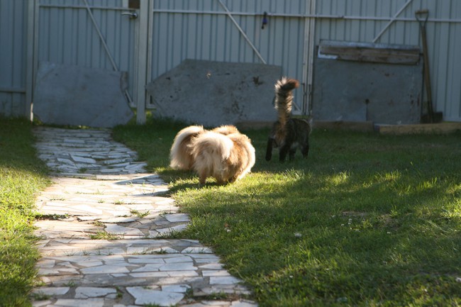 уменьш. IMG_9392.jpg