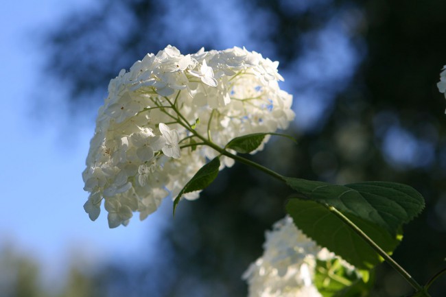 уменьш IMG_9420.jpg