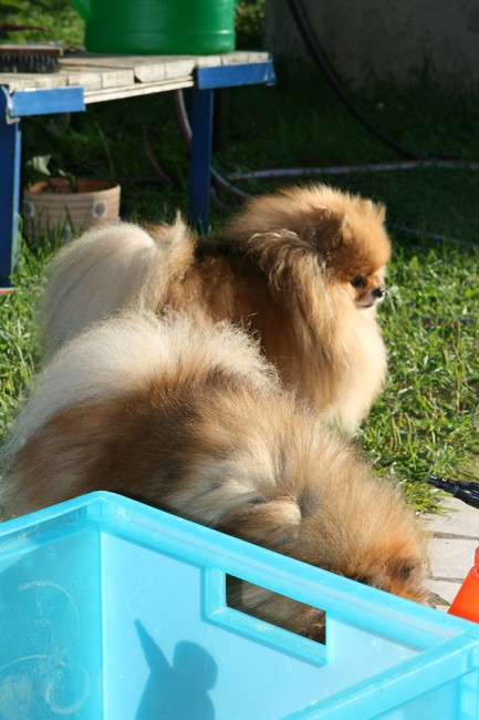 уменьш IMG_9465.jpg
