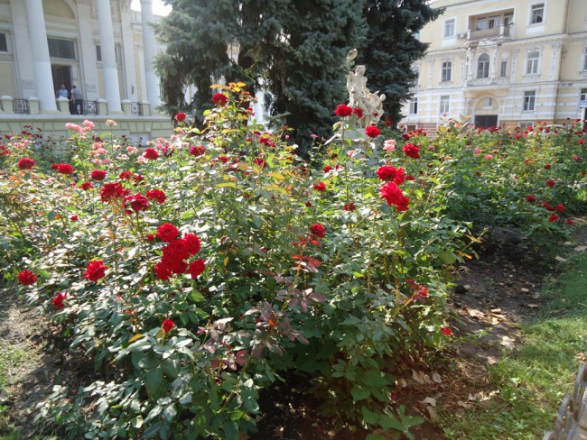 DSC04500.JPG