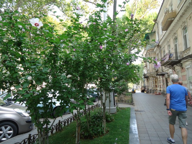 DSC04498.JPG