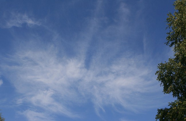 1 _9558.jpg