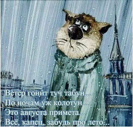 BCYT2XmzSRE.jpg